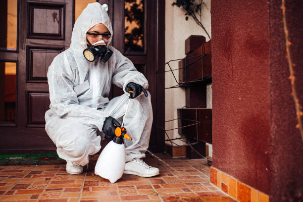 Reliable Emergency Pest Control contractor in South Charleston, WV by Nex Pest Control