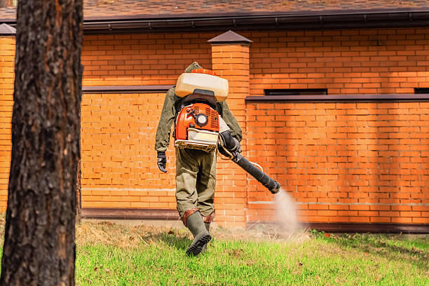 Trusted Cockroach Control service in South Charleston, WV - Nex Pest Control